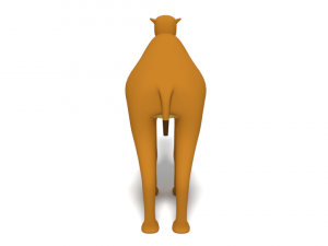 cartoon camel 3D Модель