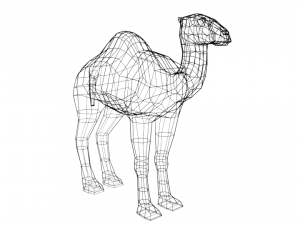 cartoon camel 3D Модель