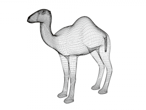cartoon camel 3D Модель
