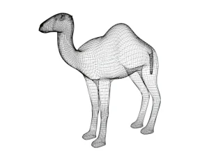 cartoon camel 3D Model