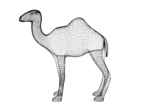 cartoon camel 3D Модель