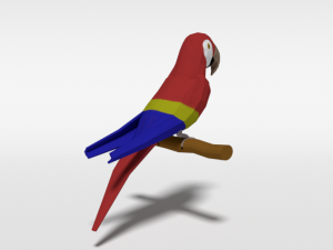 low poly cartoon macaw parrot Model 3D