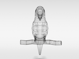 low poly cartoon macaw parrot Model 3D