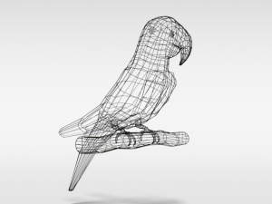 low poly cartoon macaw parrot Model 3D