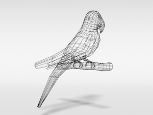low poly cartoon macaw parrot Model 3D