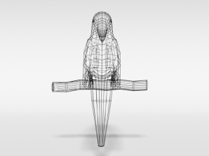 low poly cartoon macaw parrot Model 3D