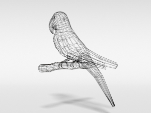 low poly cartoon macaw parrot Model 3D