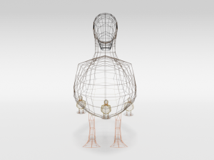 low poly cartoon gadwall duck 3Dモデル