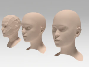 low poly woman heads 3D Model