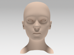 low poly woman heads 3D Model