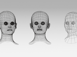 low poly woman heads 3D Model