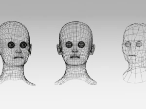 low poly woman heads 3D Model