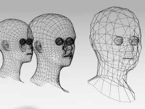 low poly woman heads 3D Model