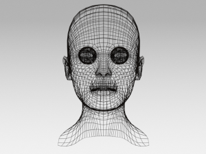 low poly woman heads 3D Model