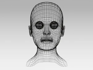 low poly woman heads 3D Model
