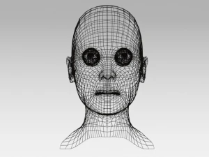 low poly woman heads 3D Model