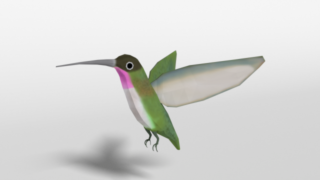 low poly cartoon hummingbird Modelo 3D .c4d .max .obj .3ds .fbx .stl .blend 