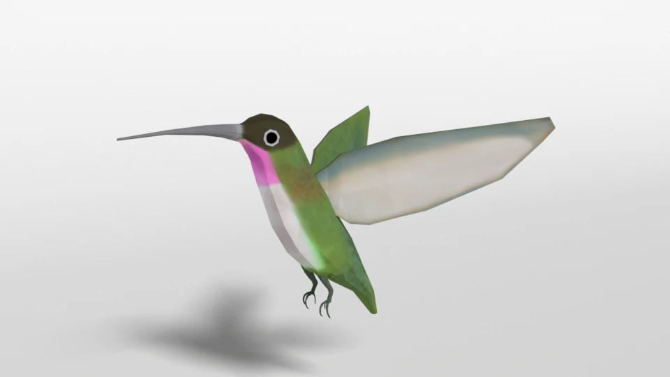 low poly cartoon hummingbird 3D Model .c4d .max .obj .3ds .fbx .stl .blend