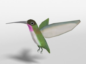 low poly cartoon hummingbird 3Dモデル