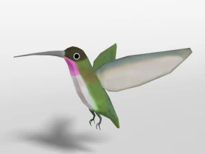 low poly cartoon hummingbird 3D Model