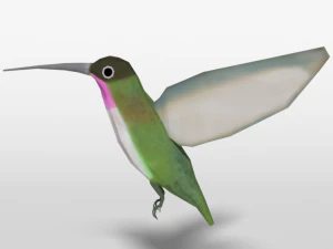 low poly cartoon hummingbird 3D Model