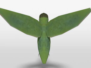 low poly cartoon hummingbird 3D Model