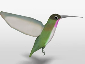 low poly cartoon hummingbird 3D Model