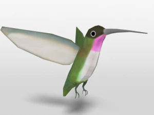 low poly cartoon hummingbird 3D Model