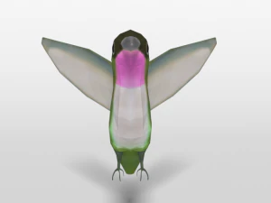 low poly cartoon hummingbird 3D Model
