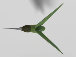 low poly cartoon hummingbird 3D Model