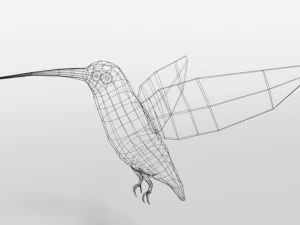 low poly cartoon hummingbird 3D Model