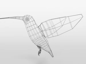 low poly cartoon hummingbird 3D Model