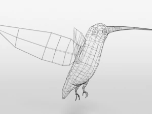 low poly cartoon hummingbird 3D Model