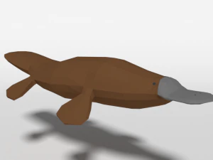 low poly cartoon platypus 3D Model