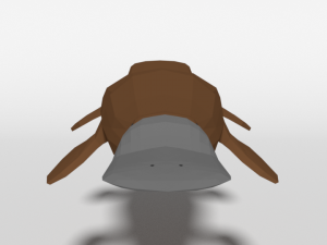 low poly cartoon platypus Model 3D