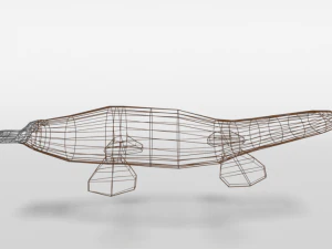 low poly cartoon platypus 3D Model