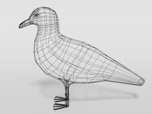 low poly cartoon seagull 3D Model