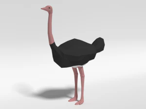 struzzo cartoon low poly Modello 3D