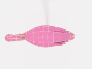 pacchetto di uccelli esotici cartoon low poly Modello 3D