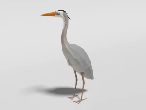 pacchetto di uccelli esotici cartoon low poly Modello 3D