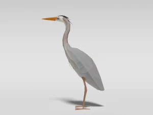 pacchetto di uccelli esotici cartoon low poly Modello 3D