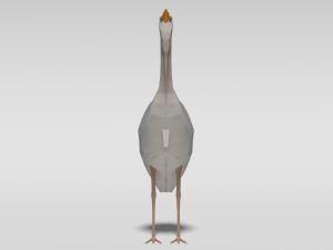 low poly cartoon exotic birds pack Modello 3D