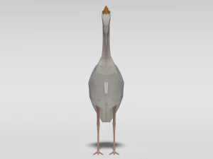 pacchetto di uccelli esotici cartoon low poly Modello 3D