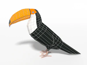 pacchetto di uccelli esotici cartoon low poly Modello 3D