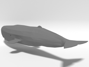 low poly cartoon sperm whale 3D Model