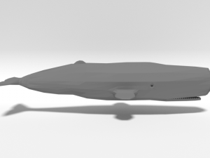 low poly cartoon sperm whale 3D Model
