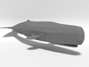low poly cartoon sperm whale 3D Model