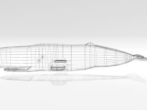 low poly cartoon sperm whale 3D Model