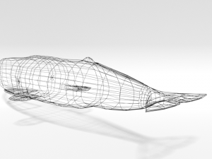 low poly cartoon sperm whale 3D Model