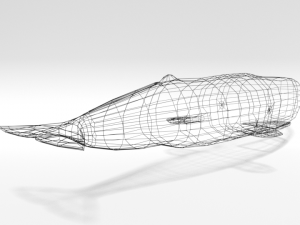 low poly cartoon sperm whale 3D Model
